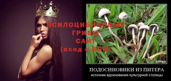 ешки Алзамай