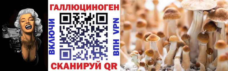 кракен   Люберцы  Галлюциногенные грибы Cubensis 