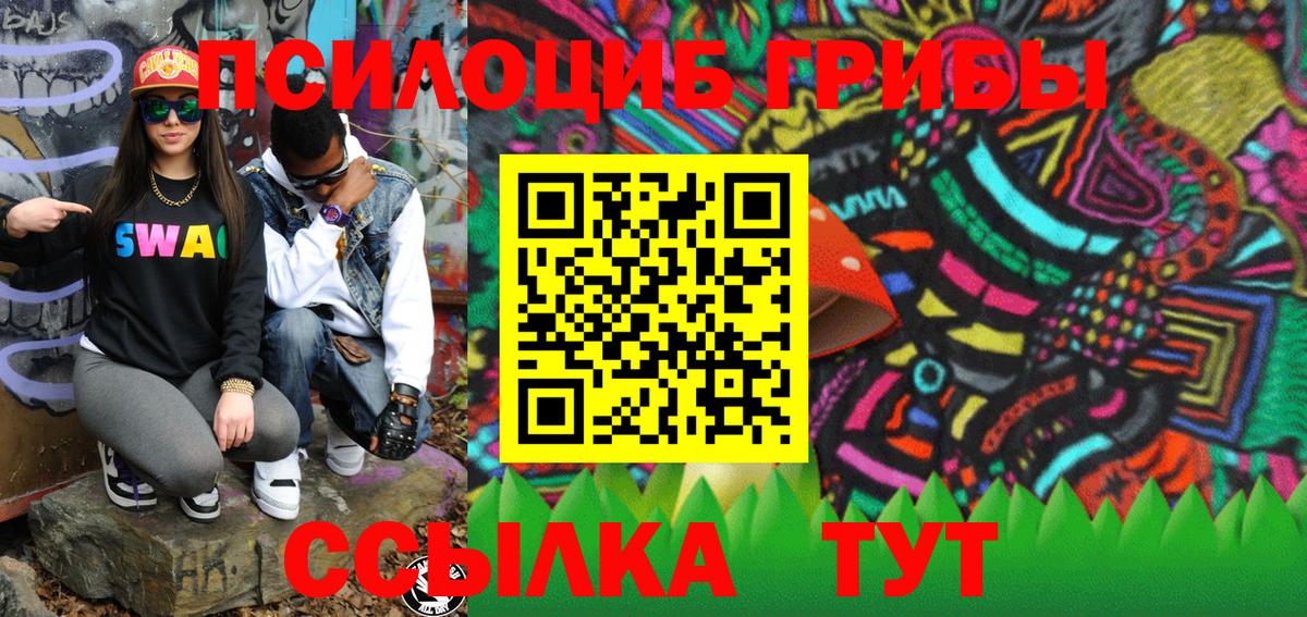 Псилоцибиновые грибы MAGIC MUSHROOMS  Галлюциногенные грибы GOLDEN TEACHER  где продают наркотики  Люберцы  Вход с VPN 