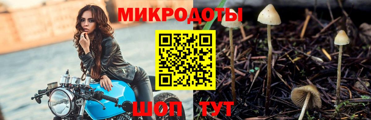 Галлюциногенные грибы Magic Shrooms Люберцы